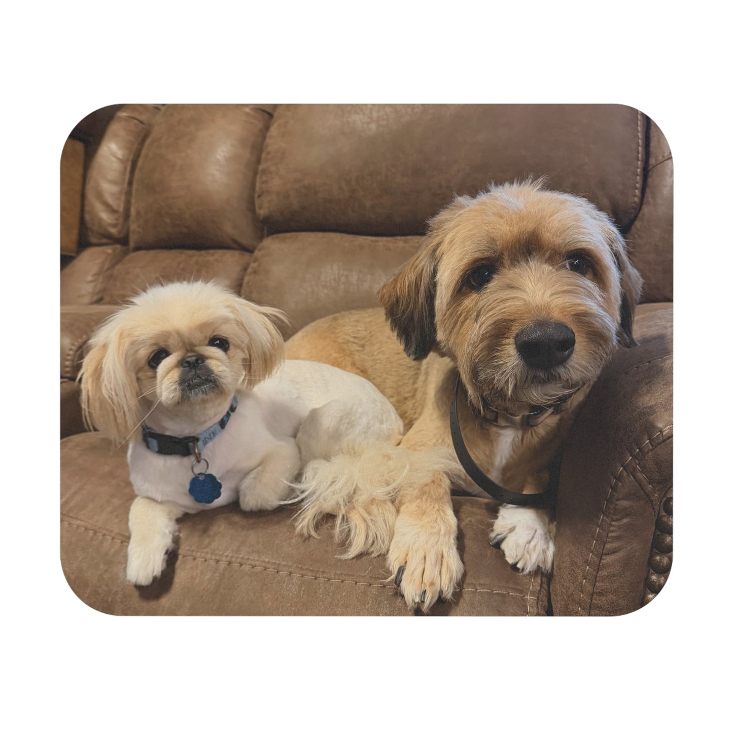 Custom Photo Mouse Pad